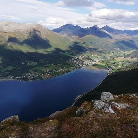 Вилла Mountain View House Isfjorden Экстерьер фото