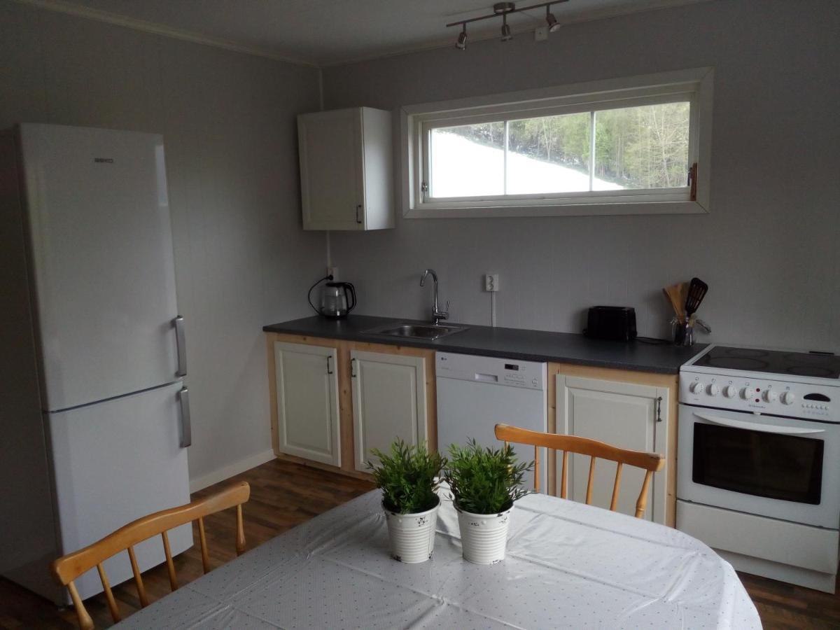 Вилла Mountain View House Isfjorden Экстерьер фото