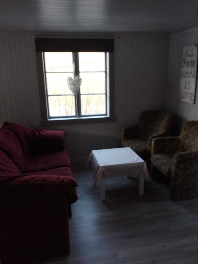 Вилла Mountain View House Isfjorden Экстерьер фото